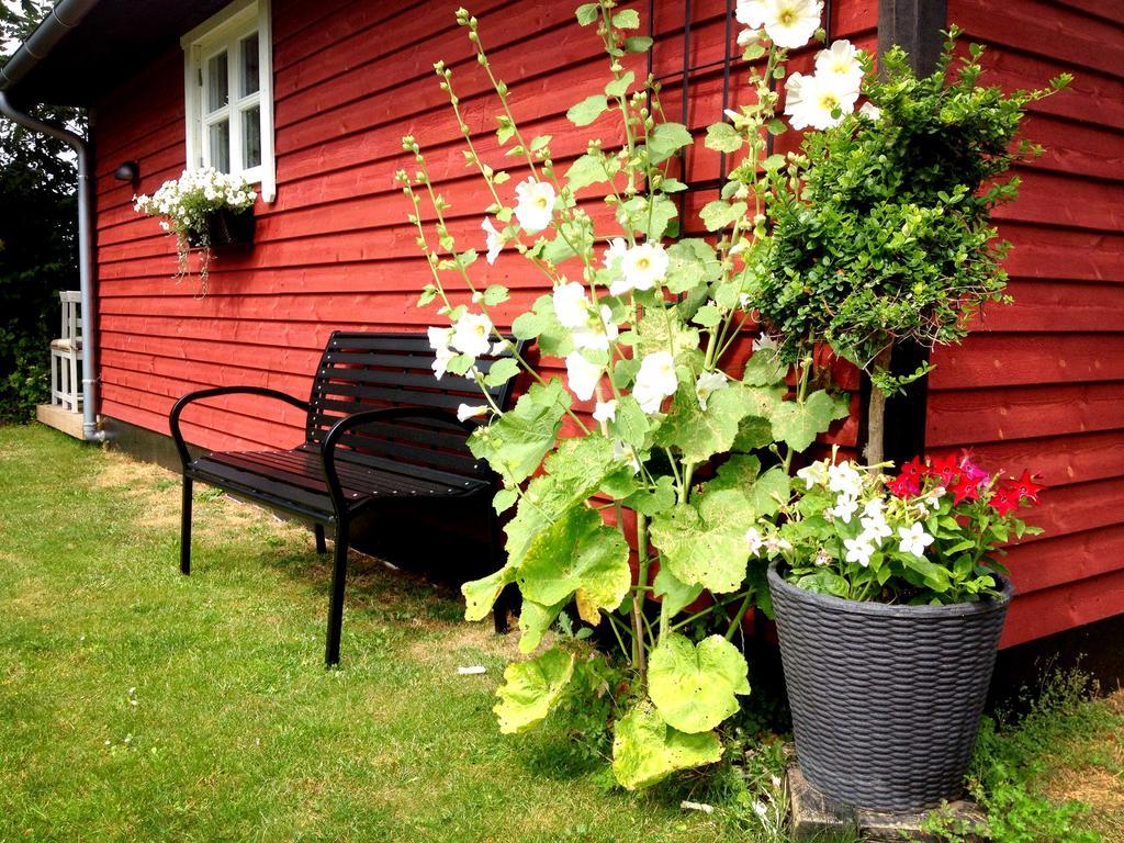 Olholm Cottage Stege Ruang foto