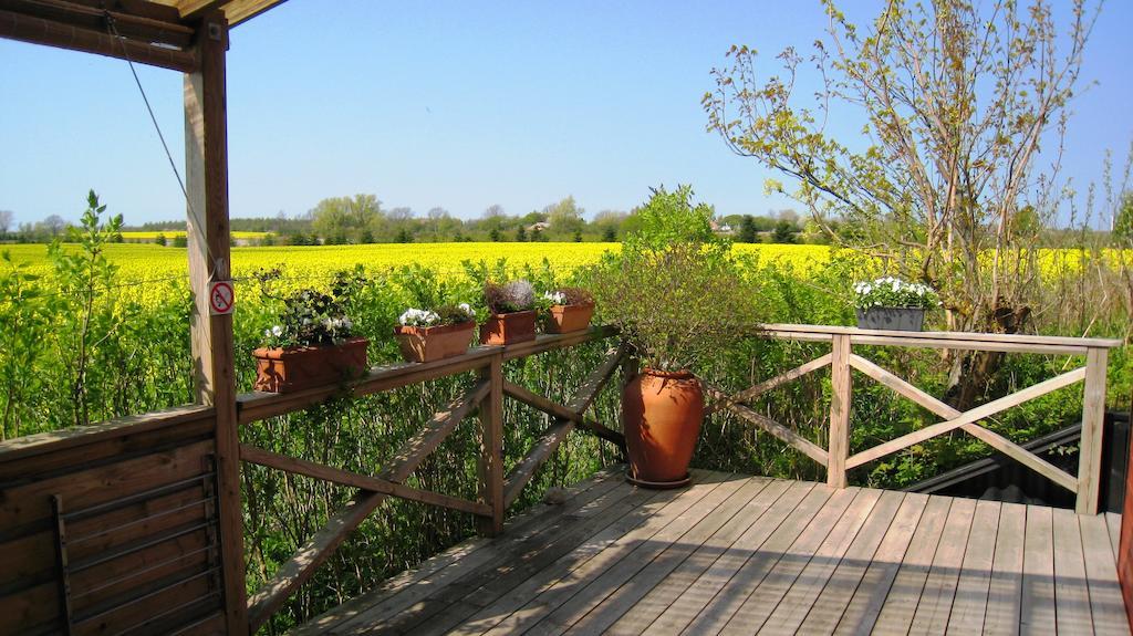 Olholm Cottage Stege Ruang foto