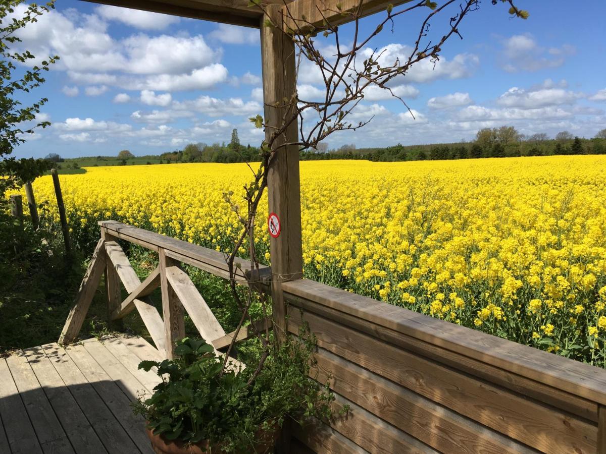 Olholm Cottage Stege Bagian luar foto